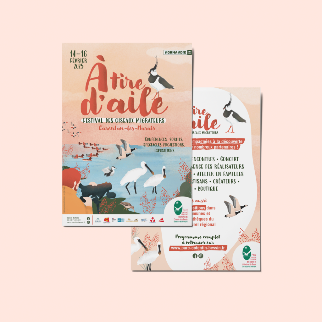 Photo du flyer d'un festival des oiseaux migrateurs