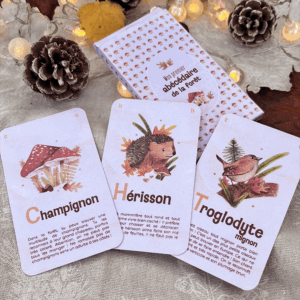 Photo d'un abécédaire illustré de la forêt en format jeu de carte