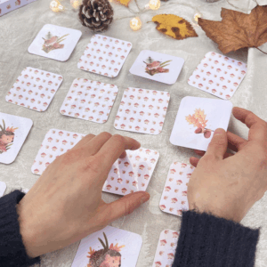 Photo d'un jeu de memory de la forêt