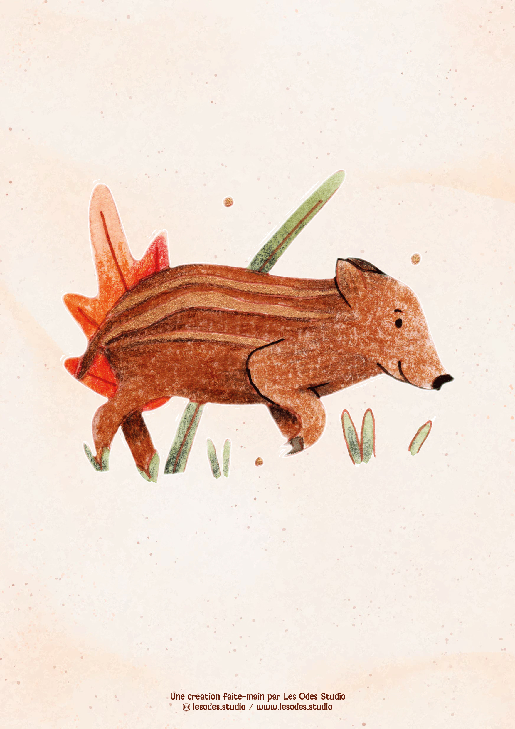 Illustration d'un marcassin à l'aquarelle