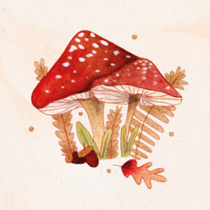 Illustration de champignons à l'aquarelle