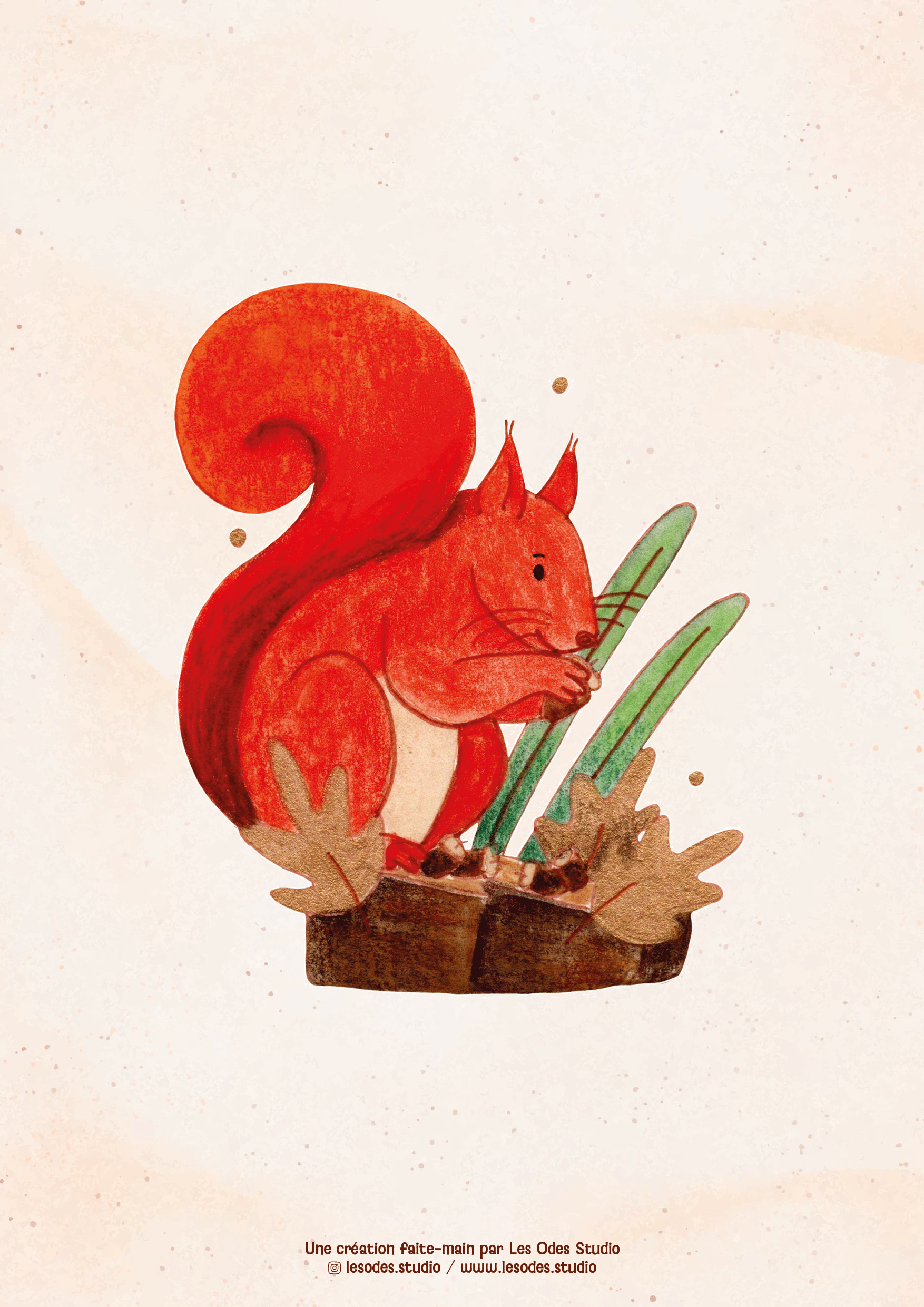 Illustration d'un écureuil à l''aquarelle