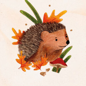 Illustration d'un hérisson à l'aquarelle