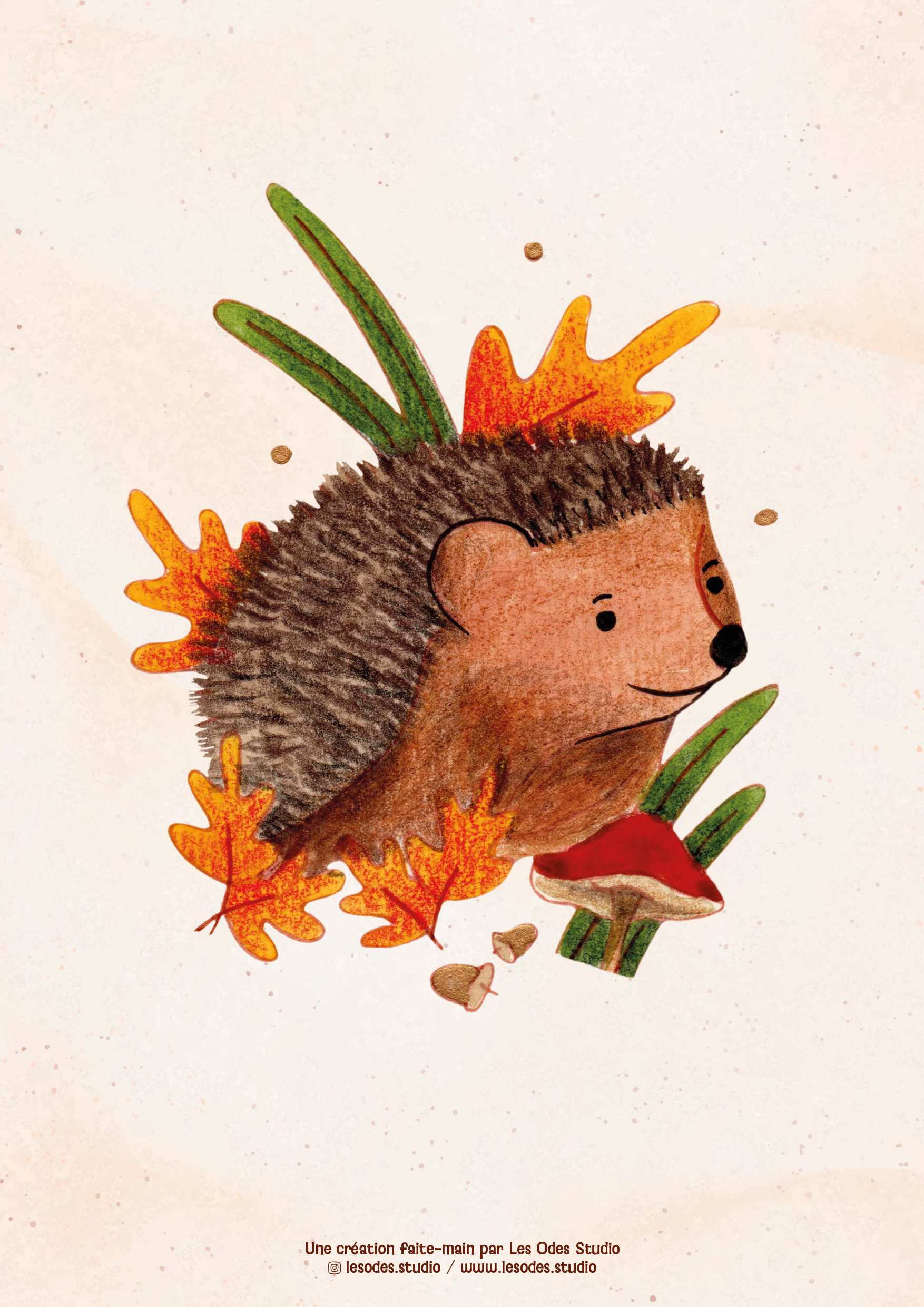 Illustration d'un hérisson à l'aquarelle