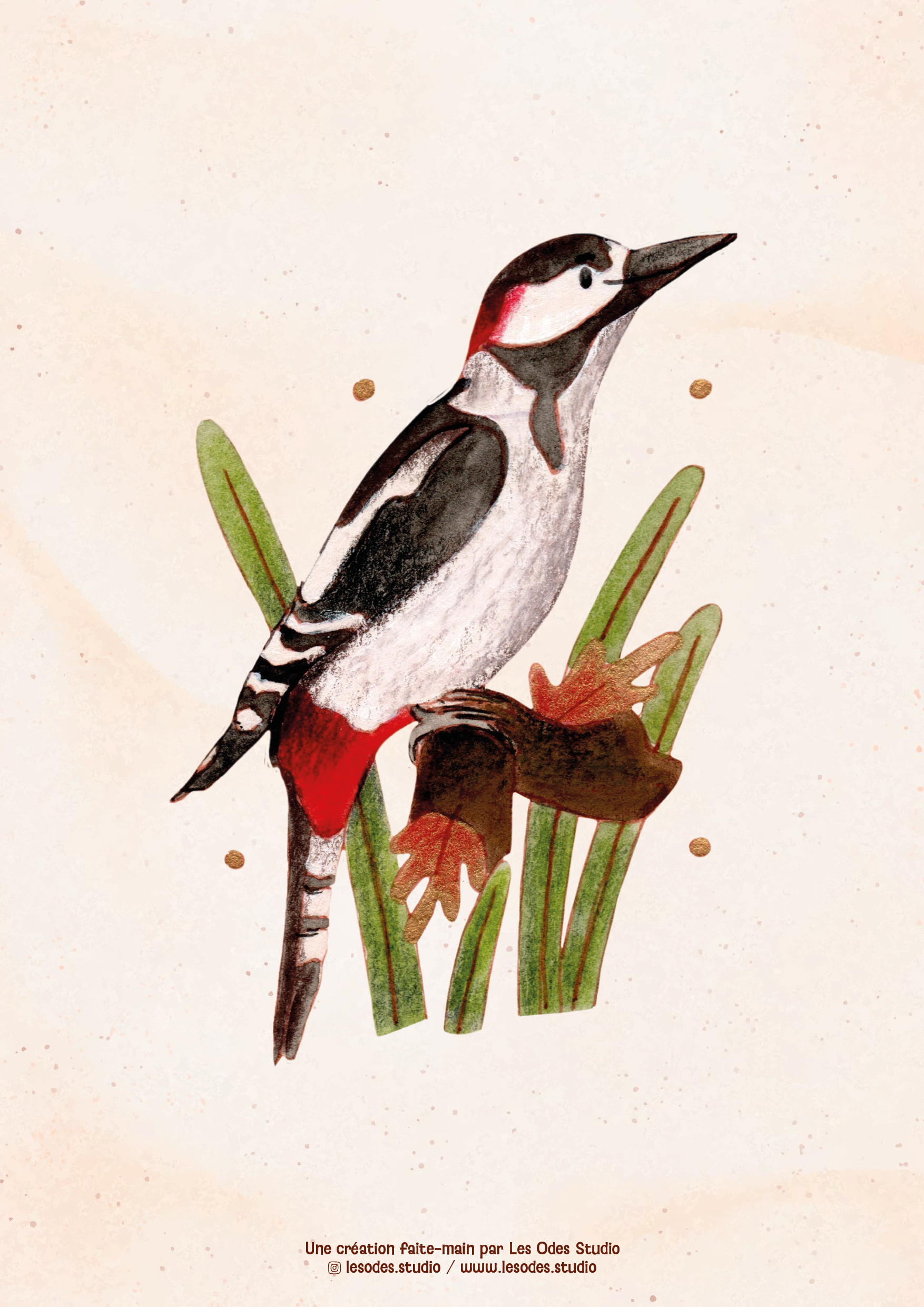 Illustration d'un pic épeiche à l'aquarelle