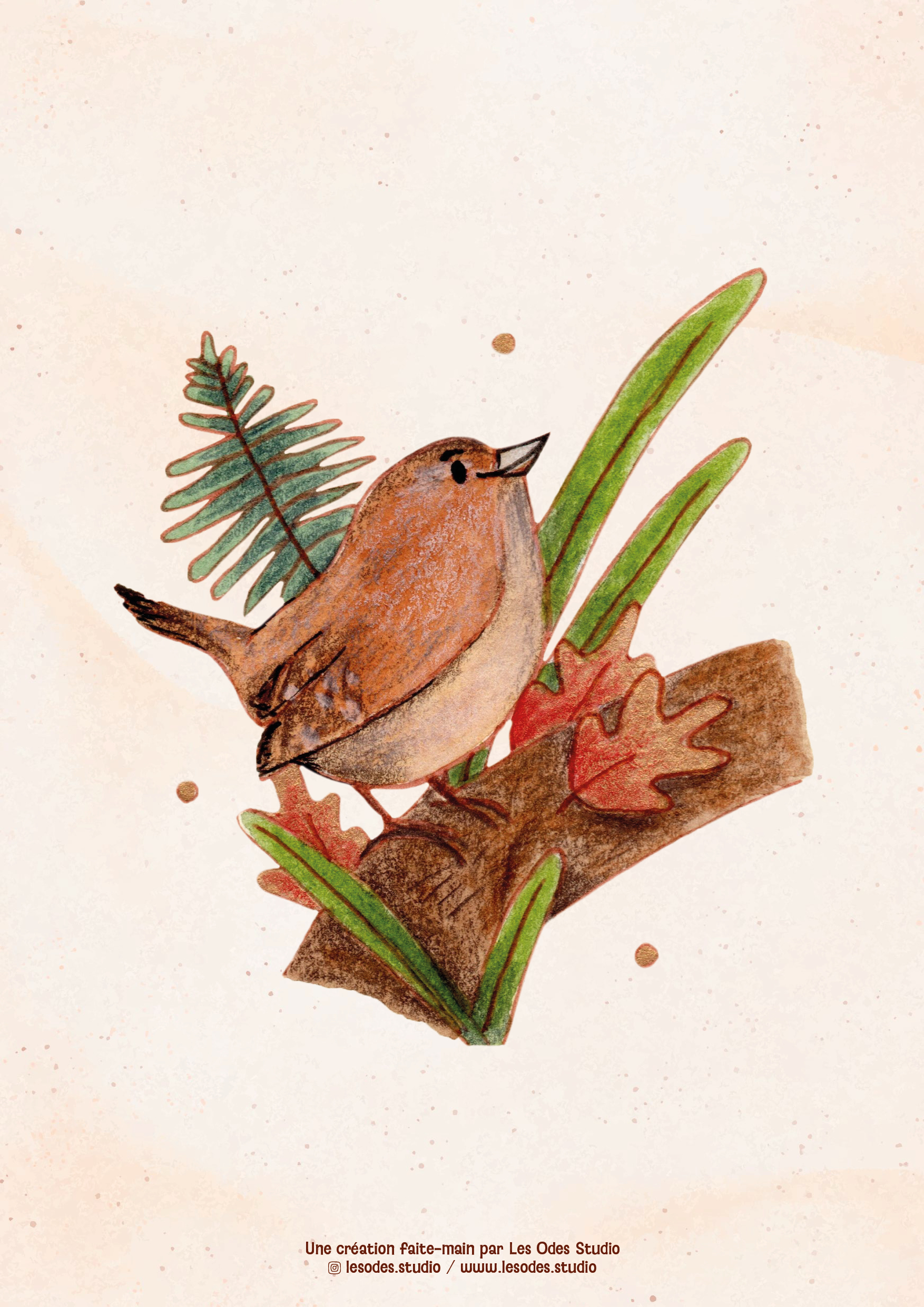 Illustration d'un troglodyte mignon à l'aquarelle