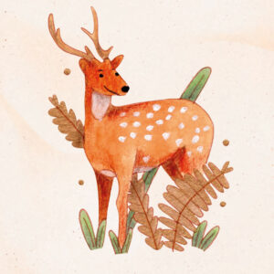 Illustration d'un daim à l'aquarelle
