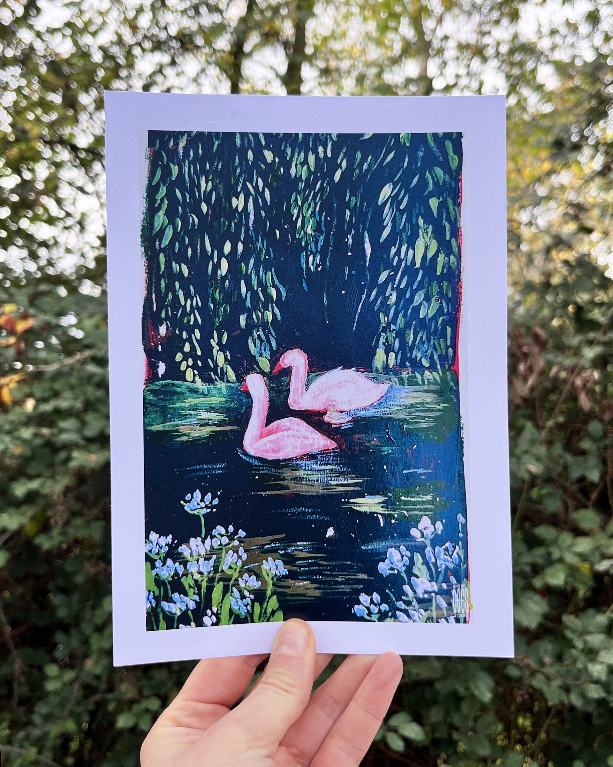 Photo de l'illustration Cygnes par Les Odes Studio