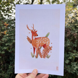 Photo de l'illustration Daim par Les Odes Studio