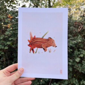 Photo de l'illustration Marcassin par Les Odes Studio