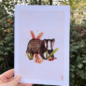 Photo de l'illustration Blaireau par les Odes Studio