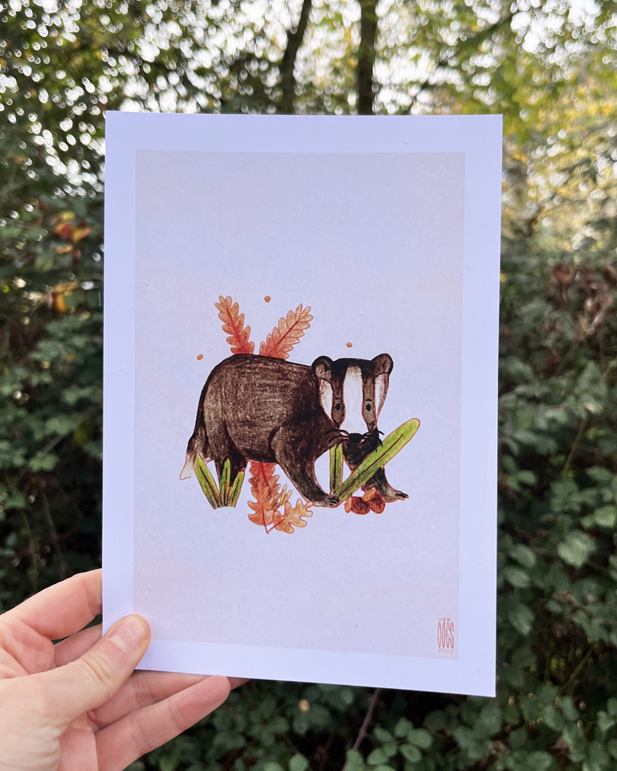 Photo de l'illustration Blaireau par les Odes Studio