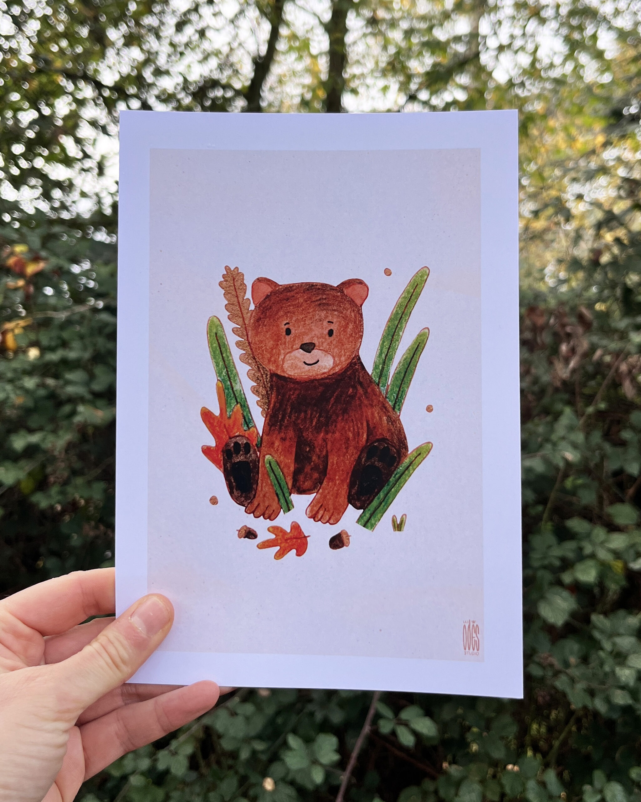 Photo de l'illustration Ourson par Les Odes Studio