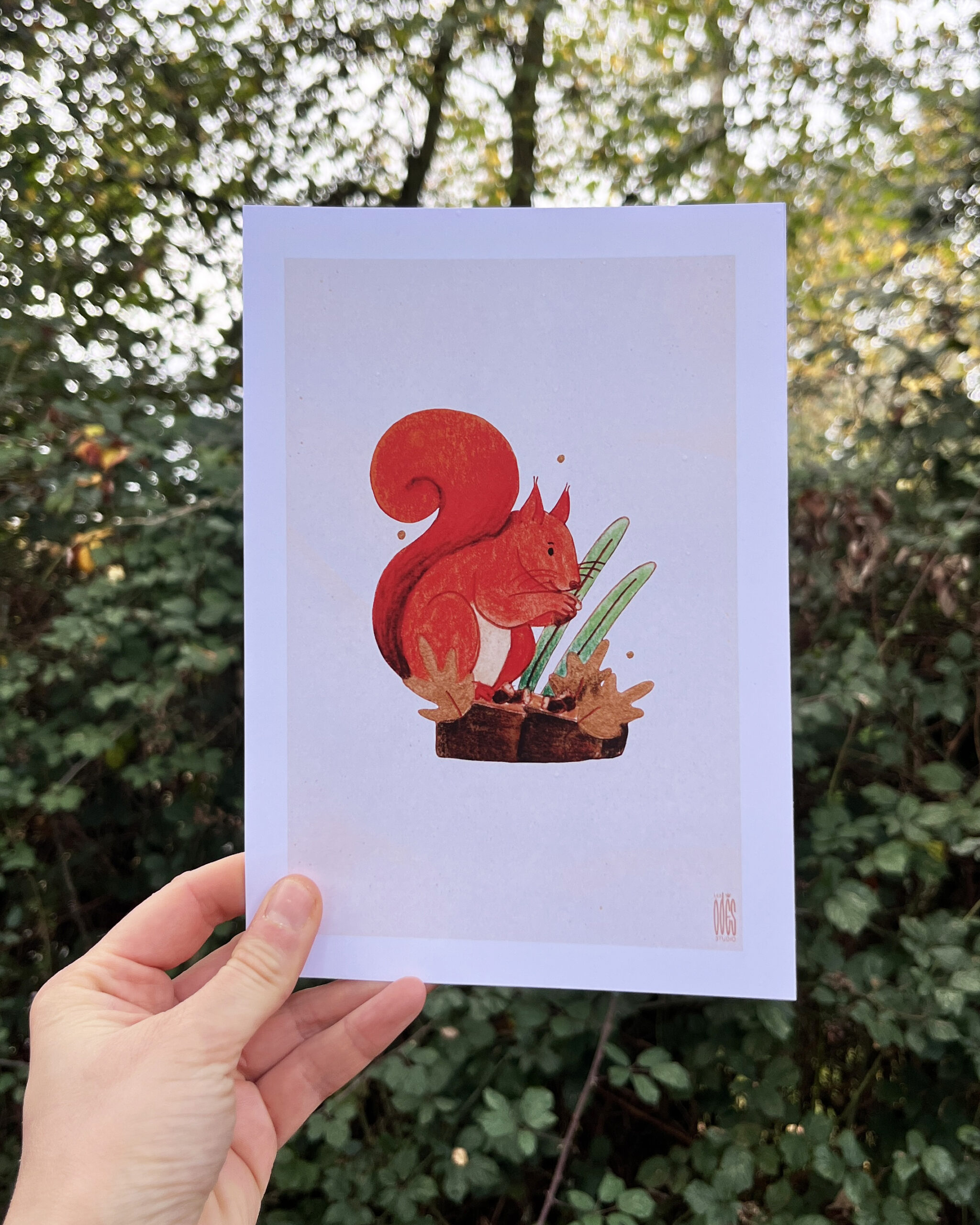 Photo de l'illustration Ecureuil par Les Odes Studio