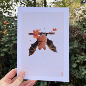 Photo de l'illustration Chauve-Souris par Les Odes Studio