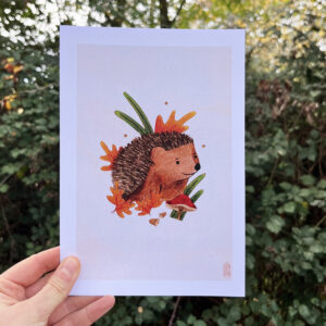 Photo de l'illustration Hérisson par Les Odes Studio