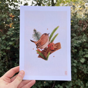 Photo de l'illustration Troglodyte mignon par Les Odes Studio