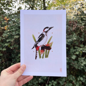 Photo de l'illustration Pic par Les Odes Studio