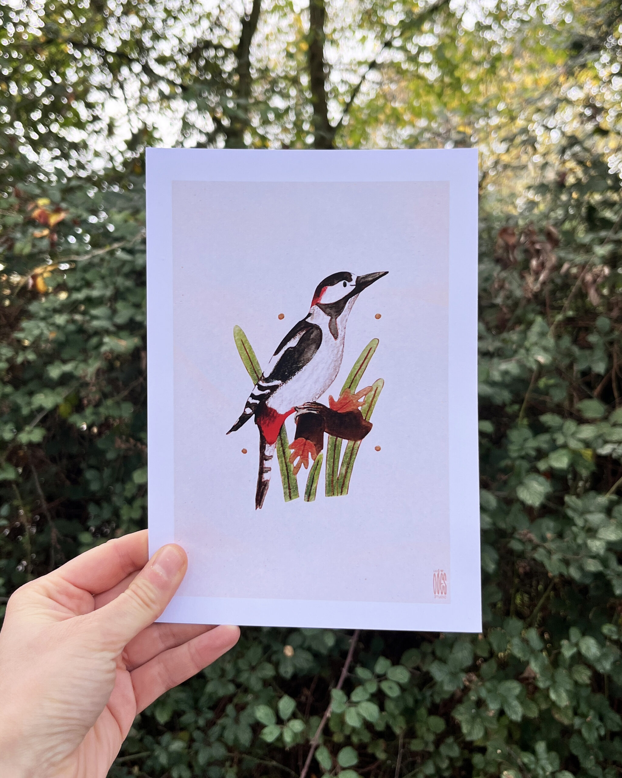 Photo de l'illustration Pic par Les Odes Studio