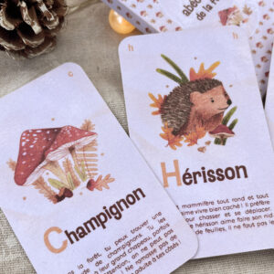 Photo d'un jeu de cartes abécédaire de la forêt