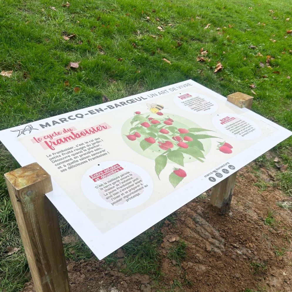 Photo d'un panneau d'exposition naturaliste pour une forêt comestible